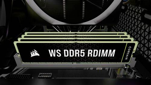 Primo piano di quattro moduli RAM RDIMM DDR5 installati in un computer. Un modulo mostra l'etichetta 'WS DDR5 RDIMM'.