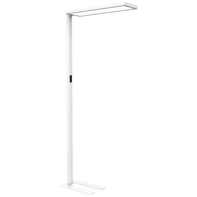 Lampada da terra bianca con testa luminosa rettangolare e design snello e minimalista. Adatta per ambienti moderni, sia in ufficio che in casa.