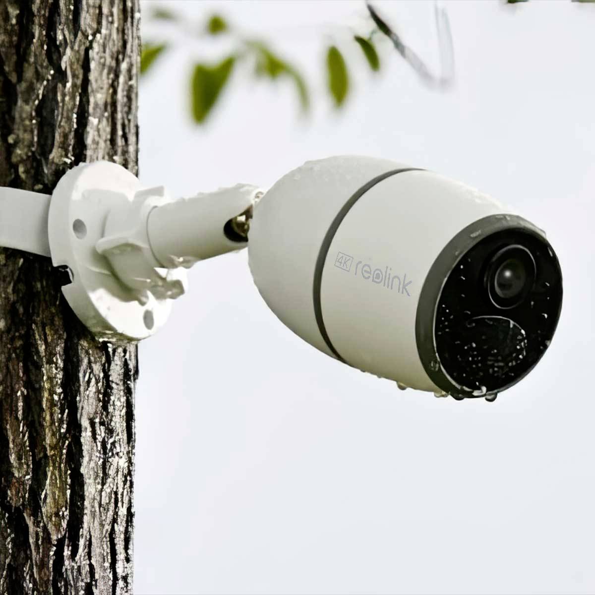 Una telecamera di sorveglianza è fissata a un albero, puntata in una direzione. Serve per la sorveglianza esterna.