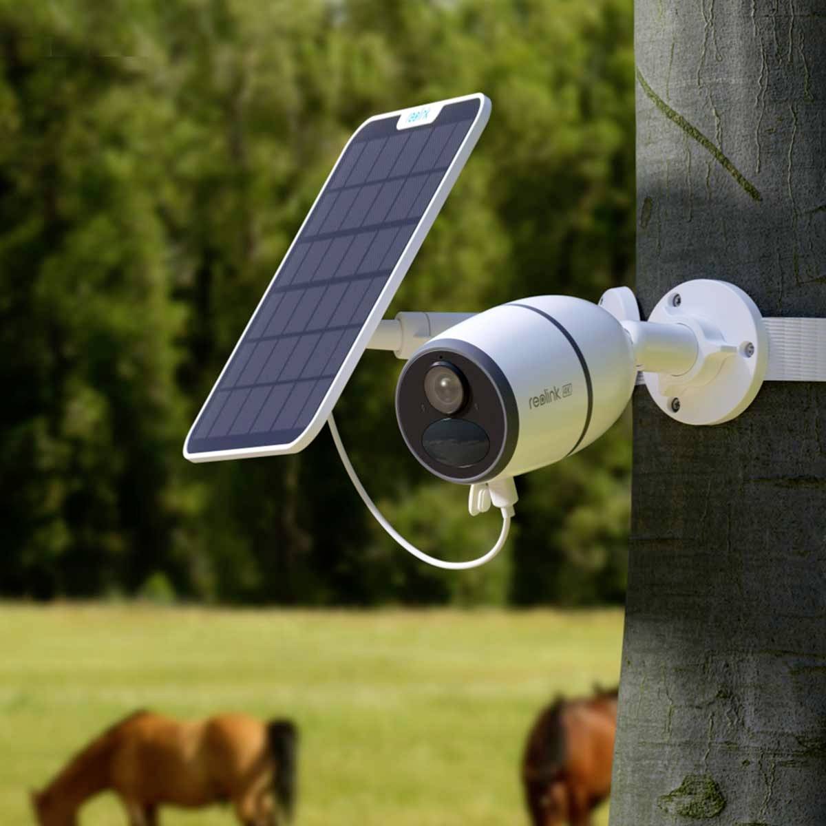 Telecamera di sorveglianza con pannello solare montata su un albero, prato verde e cavalli sfocati sullo sfondo.
