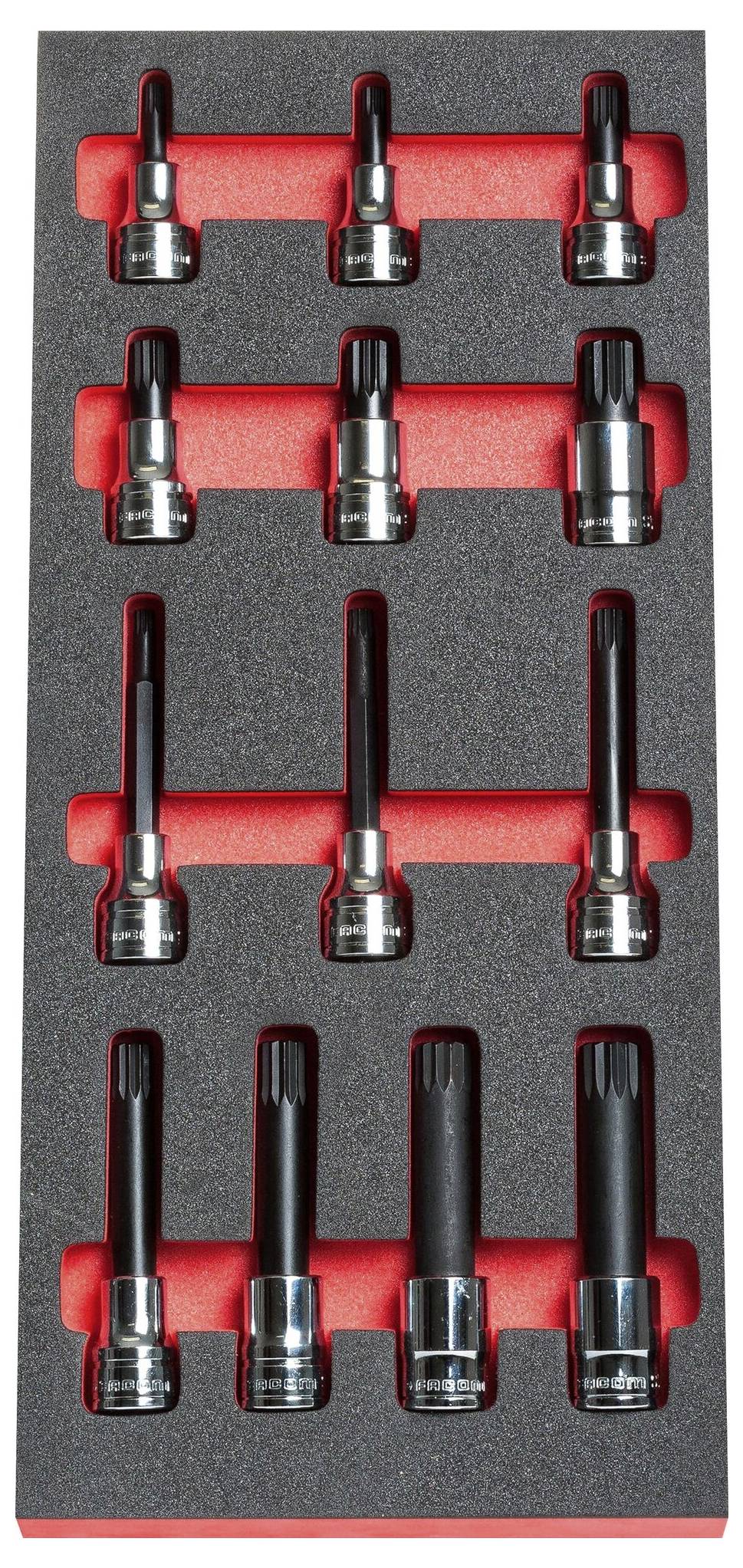 Un set di dodici bussole lunghe, ordinatamente disposte in un'imbottitura in schiuma nera e rossa.