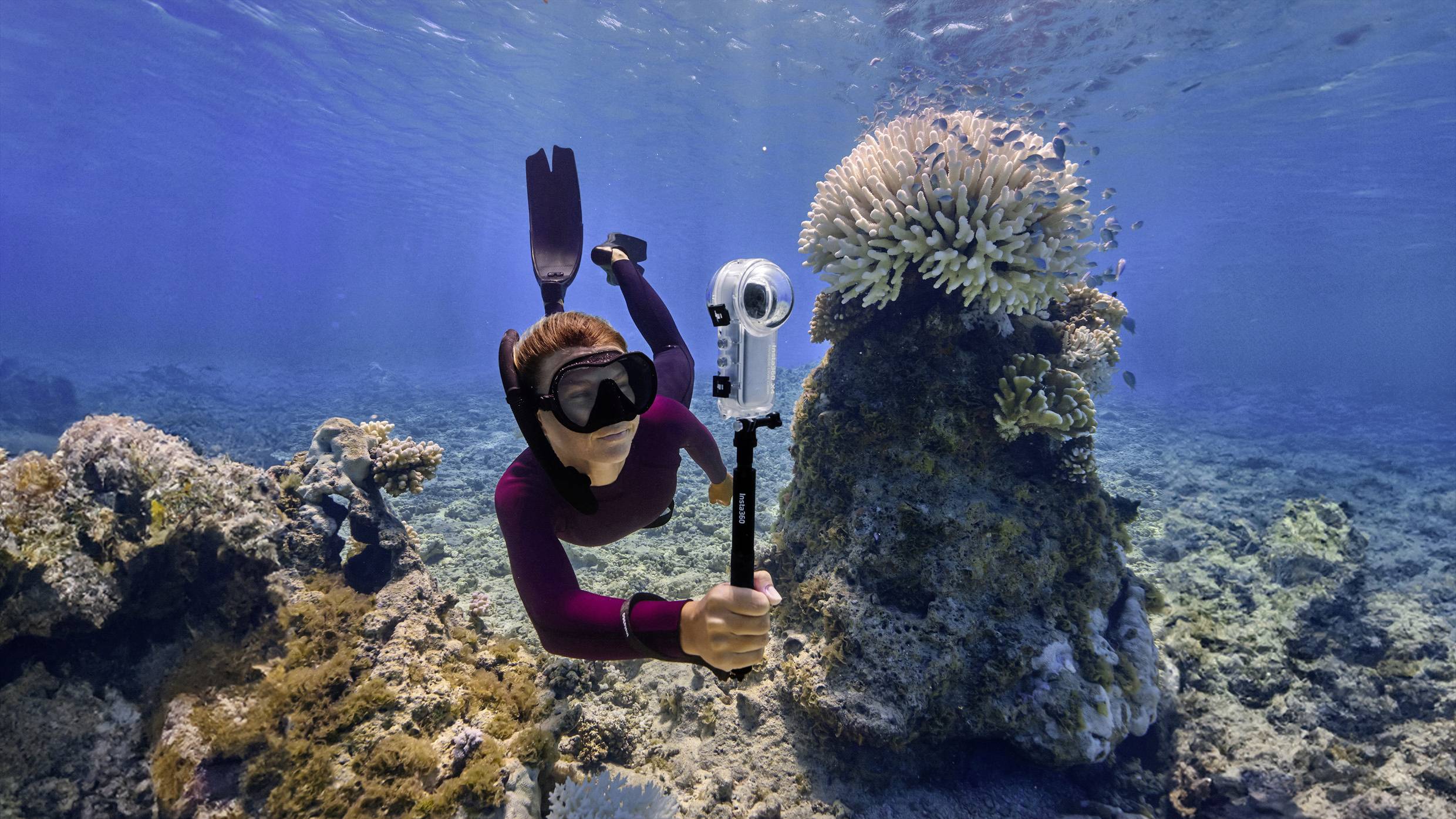 Sommozzatore con muta in neoprene lilla tiene una fotocamera subacquea e nuota vicino a una barriera corallina nell'acqua blu cristallina.