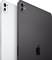 Due tablet in grigio e bianco, posti uno accanto all'altro, mostrano i retri con il logo Apple e le fotocamere.