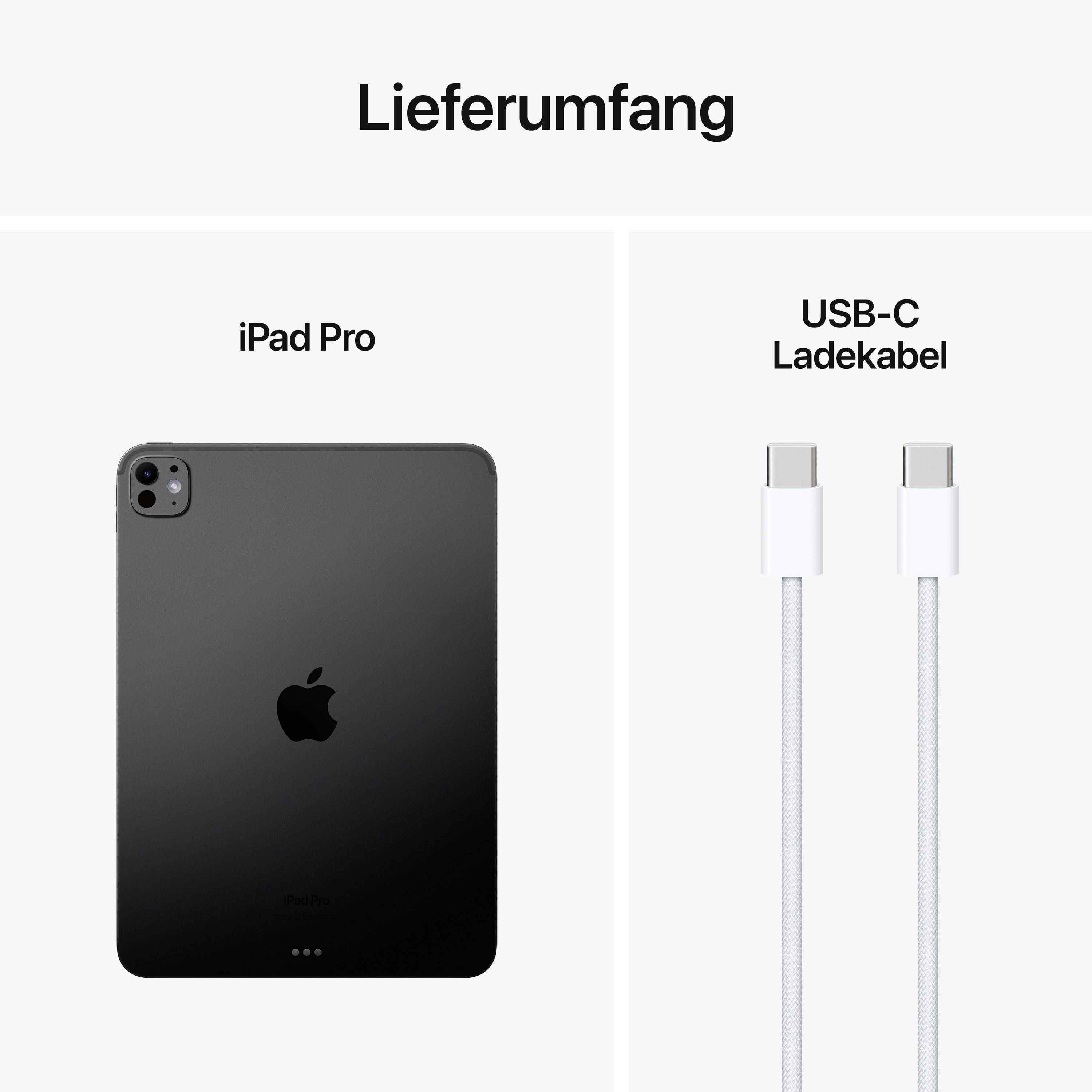 Contenuto della confezione: iPad Pro e cavo di ricarica USB-C affiancati su sfondo bianco.