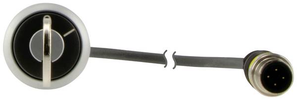 Eaton  186199  C22-WRS-MS1-K10-P1  Pulsante a chiave    Chiave  Nero    Sblocco a chiave  1 pz.  Pezzo