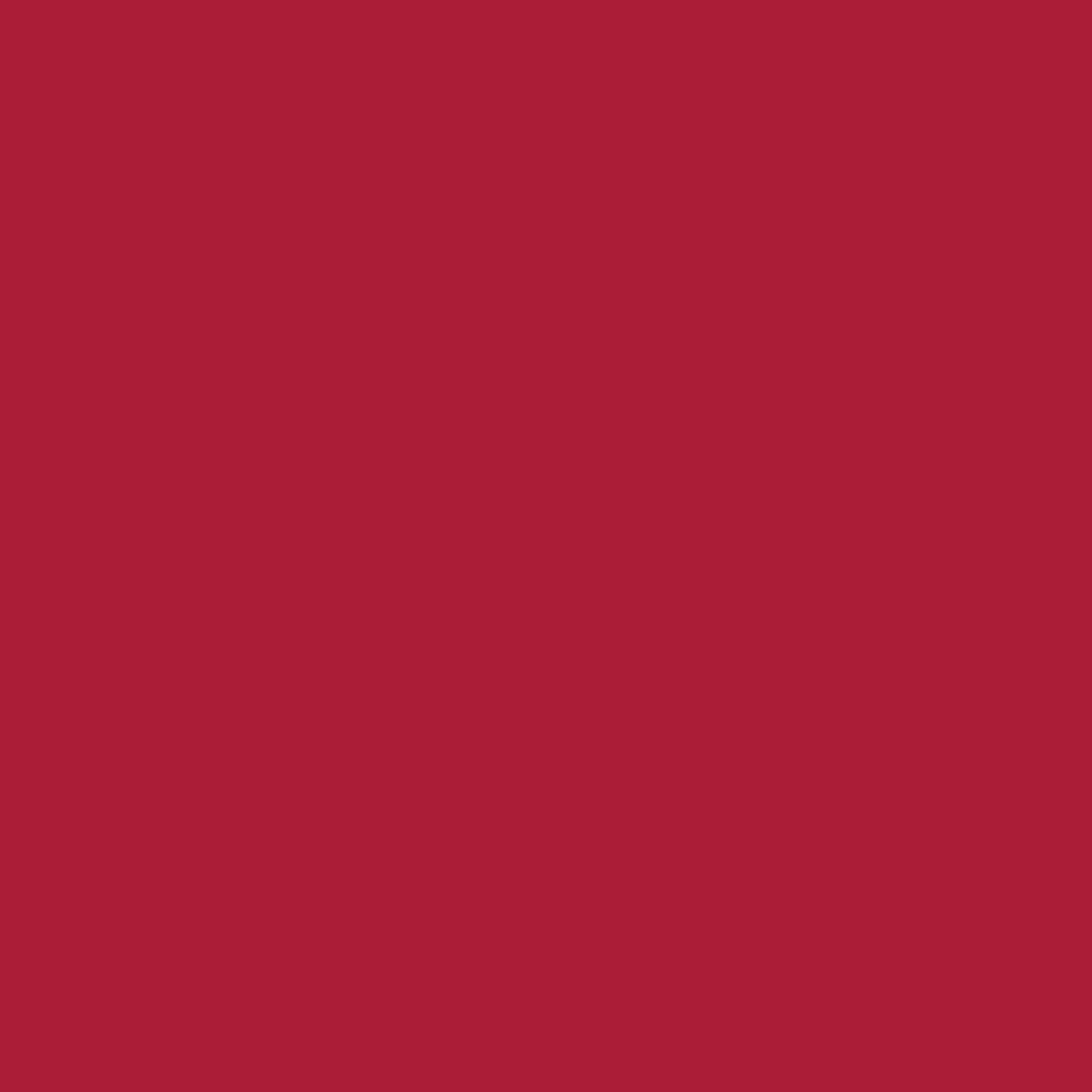 Sfondo rosso, tinta unita, privo di testo o simboli, decorativo.