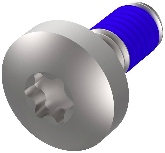 Vite Torx con filettatura blu. Principalmente in metallo, adatta per macchine e applicazioni tecniche.