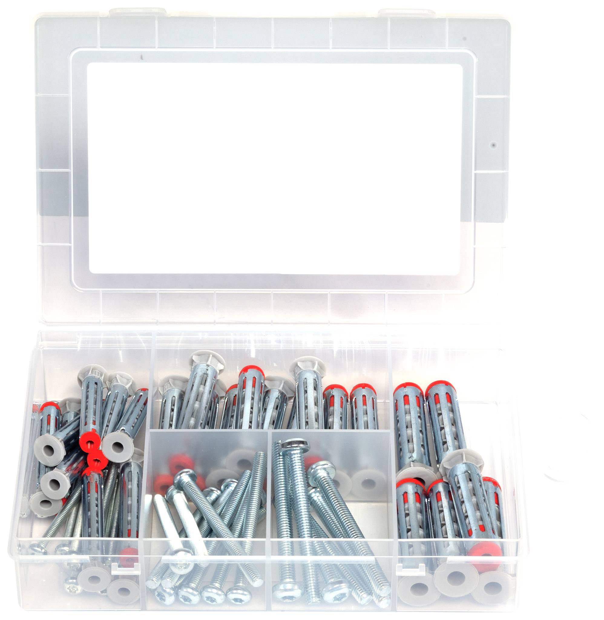 Scatola organizzatore in plastica con scomparti contenente viti metalliche assortite e tasselli, vista dall'alto, con area etichetta vuota sul coperchio.