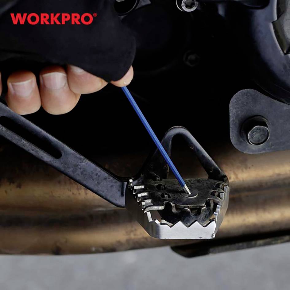Una persona sta utilizzando un utensile blu per regolare un componente su una motocicletta. In alto a sinistra è scritto 'WORKPRO'.