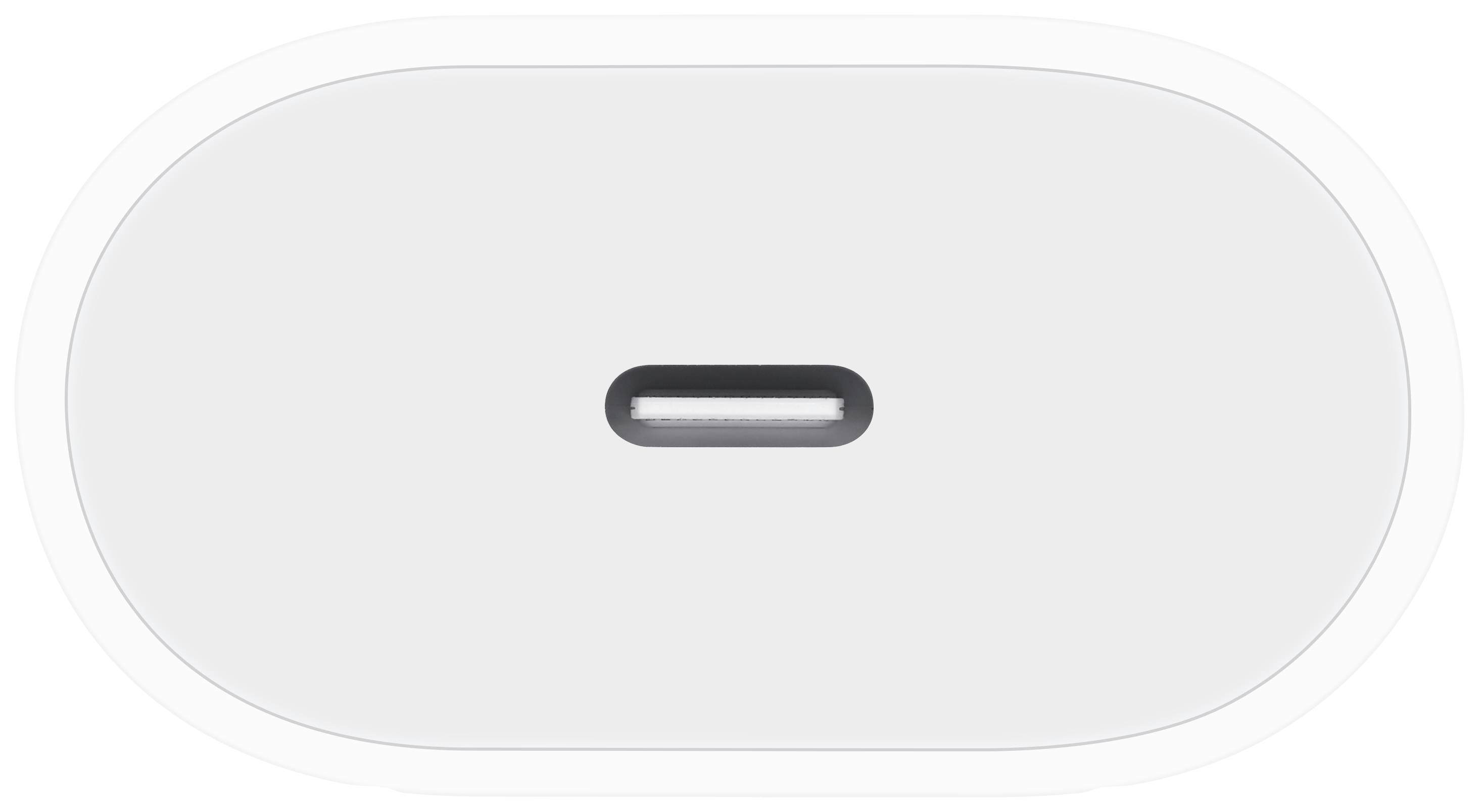 Un primo piano di una porta USB-C ovale su uno sfondo bianco.