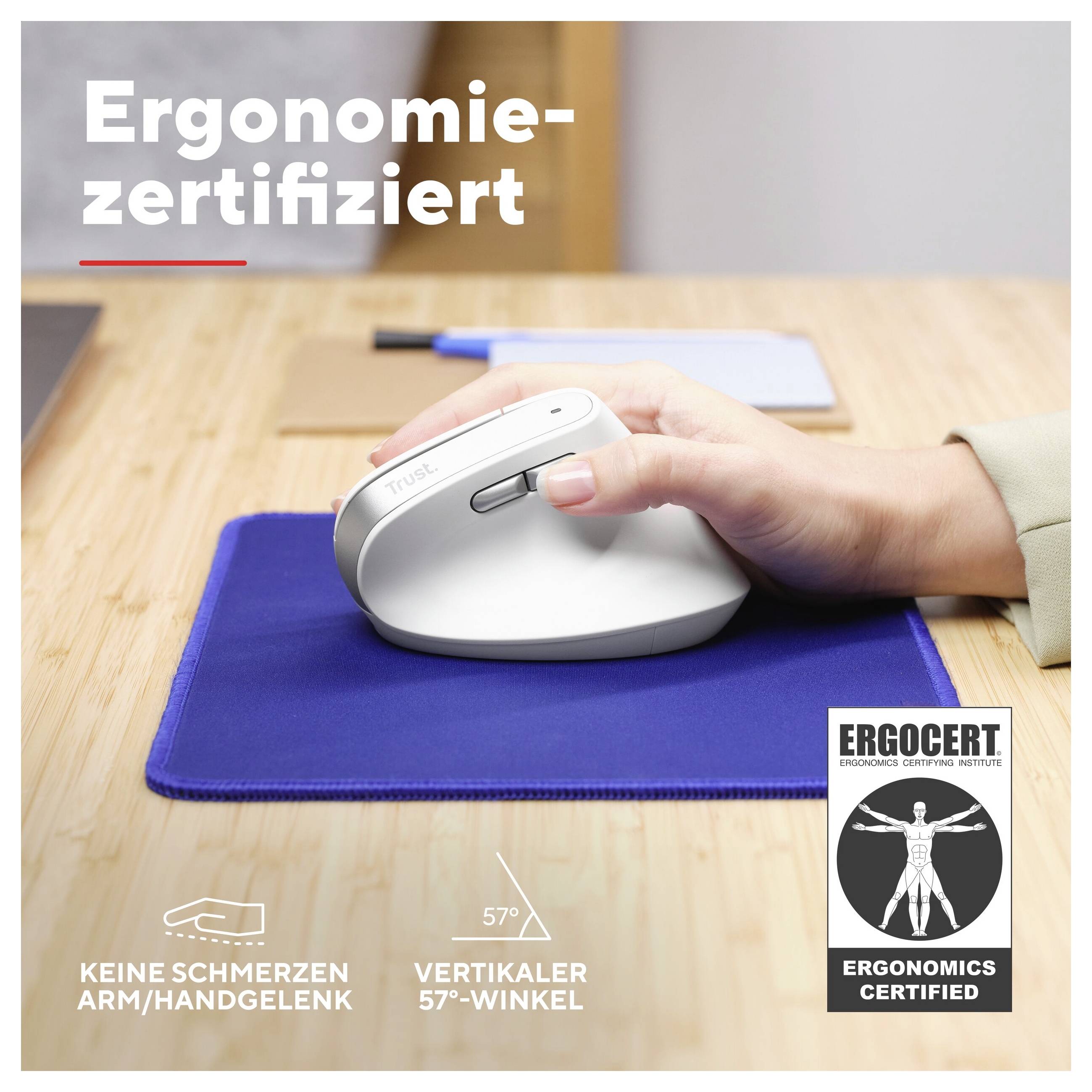 Una mano tiene un mouse verticale ergonomico su un tappetino per mouse blu. Testo nell'immagine: 'Certificato ergonomico'.