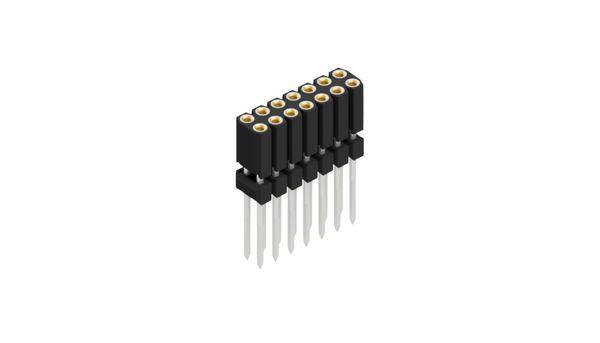 Fischer Elektronik Connettore femmina (precisione) Numero di righe: 2 10026259 10 pz.