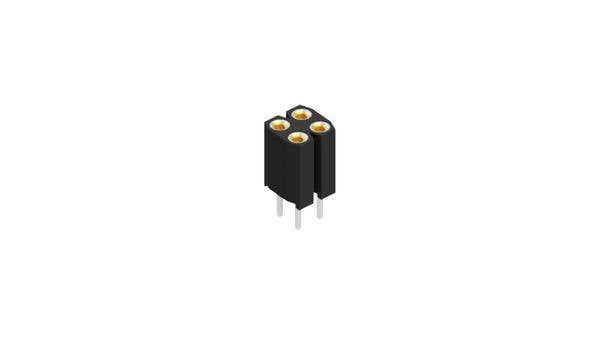 Fischer Elektronik Connettore femmina (precisione) Numero di righe: 2 10026724 10 pz.