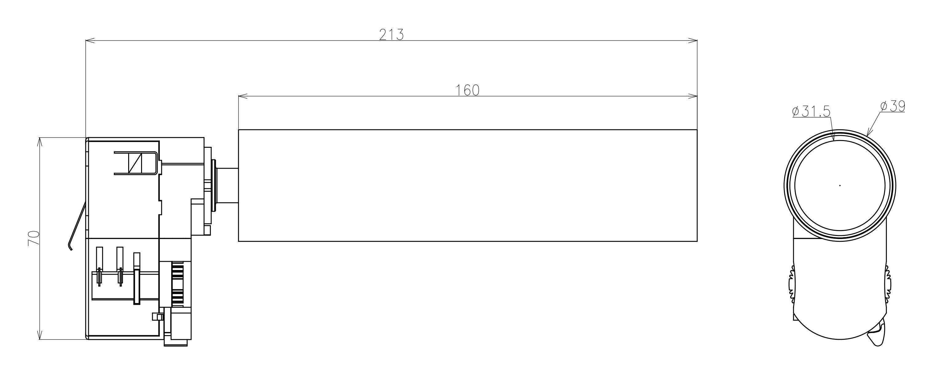 Disegno tecnico di un motore cilindrico con dimensioni: lunghezza 213 mm, diametro 31,5 mm, larghezza 39 mm.