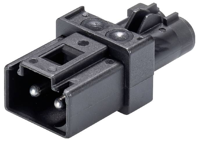 Un connettore elettrico nero con due spinotti metallici.