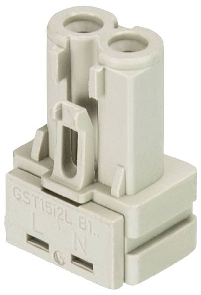 Adattatore elettrico grigio con due ingressi. Sul lato frontale sono visibili le lettere 'L' e 'N' e la scritta 'GST15i2L B1'.