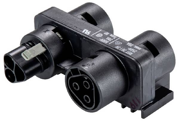 Wieland Electric 96.030.0253.1  Distributore