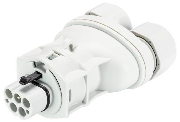 Wieland Electric 96.052.4253.0  Connettore  Grigio luminescente