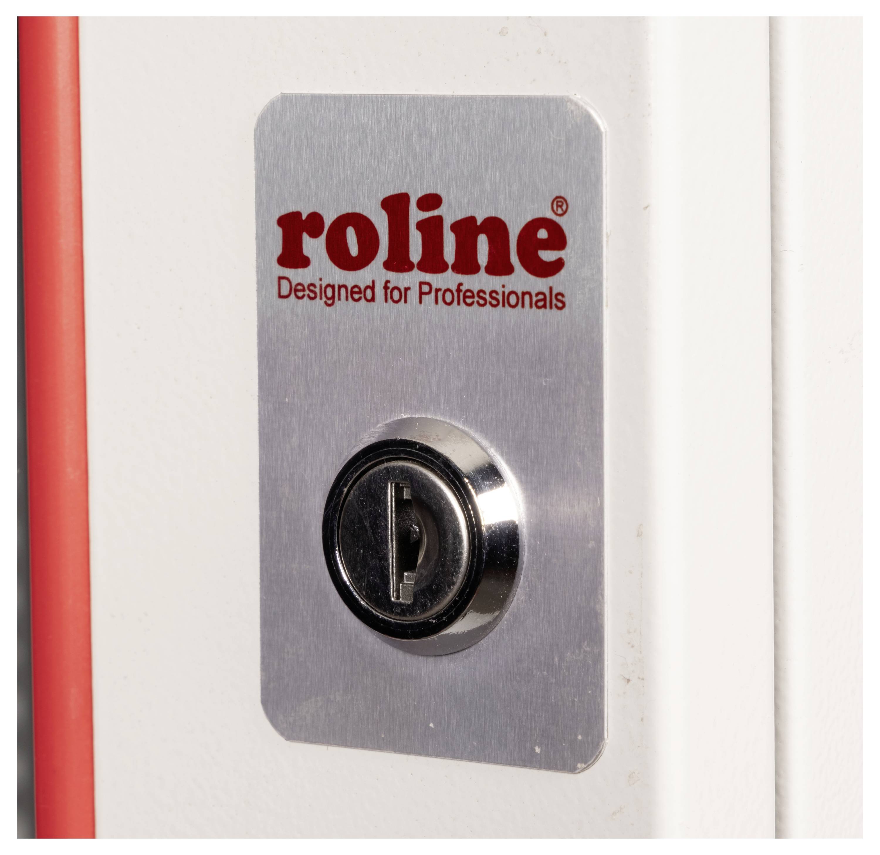 Un primo piano di un lucchetto metallico 'roline Progettato per Professionisti' su una porta bianca, che indica sicurezza o controllo degli accessi.