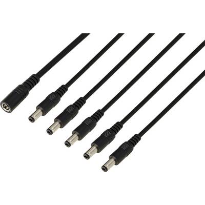 Cavo adattatore multiplo con un connettore femmina che si divide in cinque connettori maschi. Ideale per collegare contemporaneamente più dispositivi.