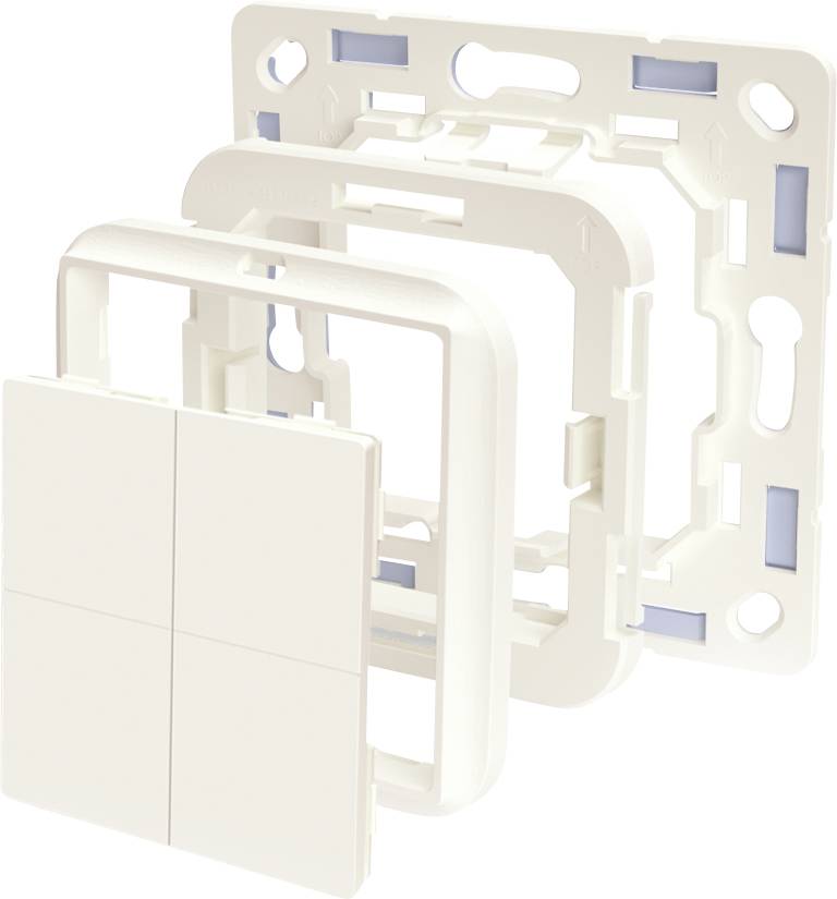 Un elemento multipezzo per prese o interruttori in bianco. I componenti sono separati e mostrano la cornice e la piastra di montaggio.