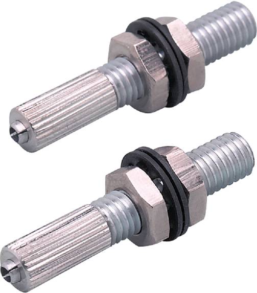 Due valvole metalliche per bicicletta con filettatura e guarnizione in gomma, utilizzate per regolare la pressione dell'aria nei pneumatici.