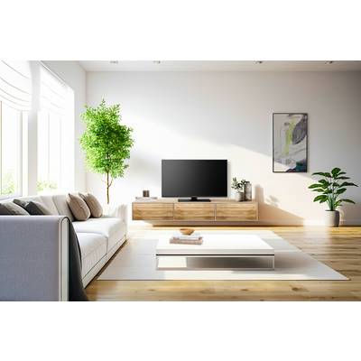 Soggiorno luminoso con divano bianco, TV a schermo piatto, mobili in legno e piante, illuminato da grandi finestre che lasciano entrare la luce solare.