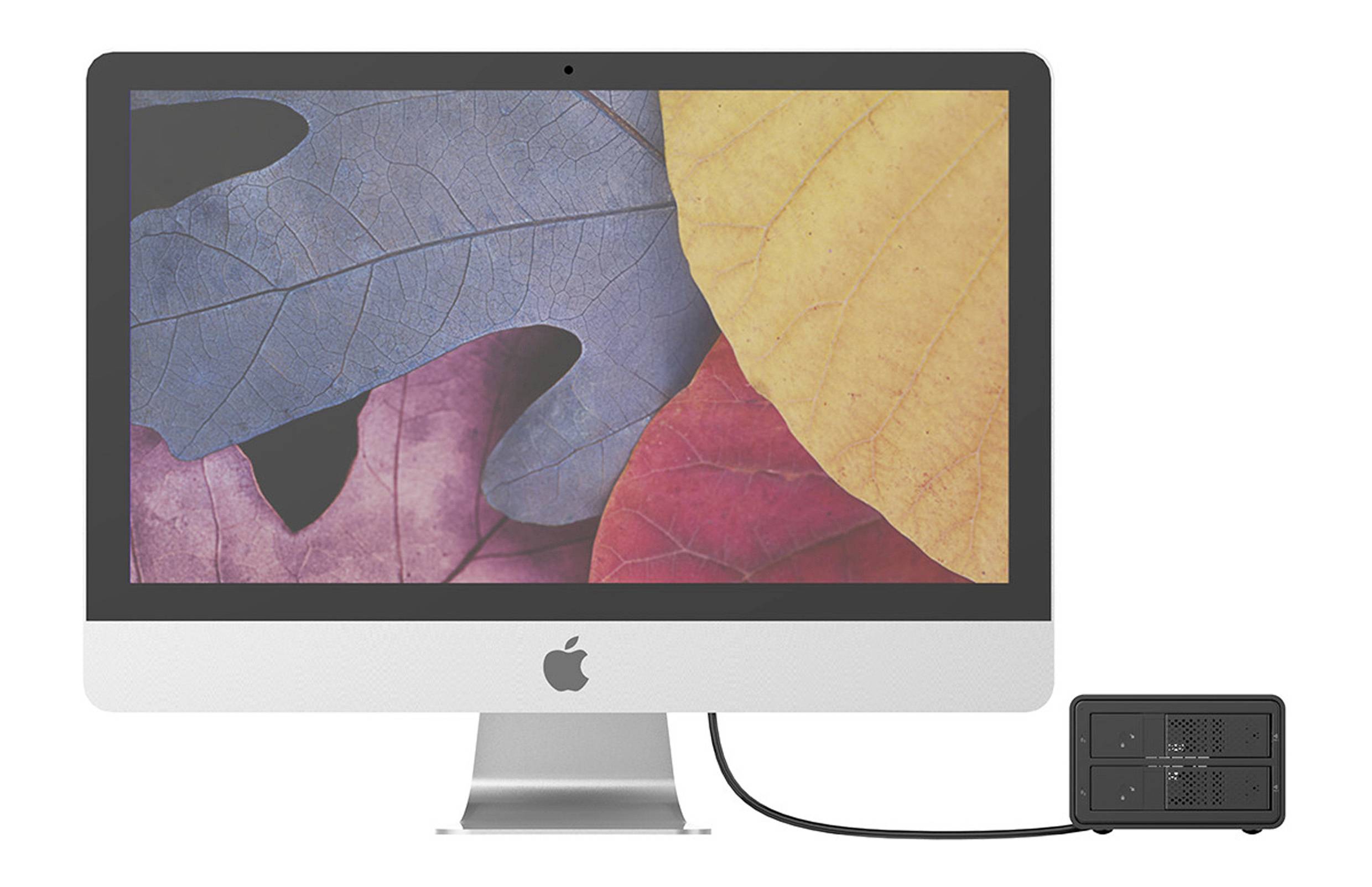 Un monitor del computer mostra un'immagine con foglie sovrapposte colorate in blu, giallo, viola e rosso.