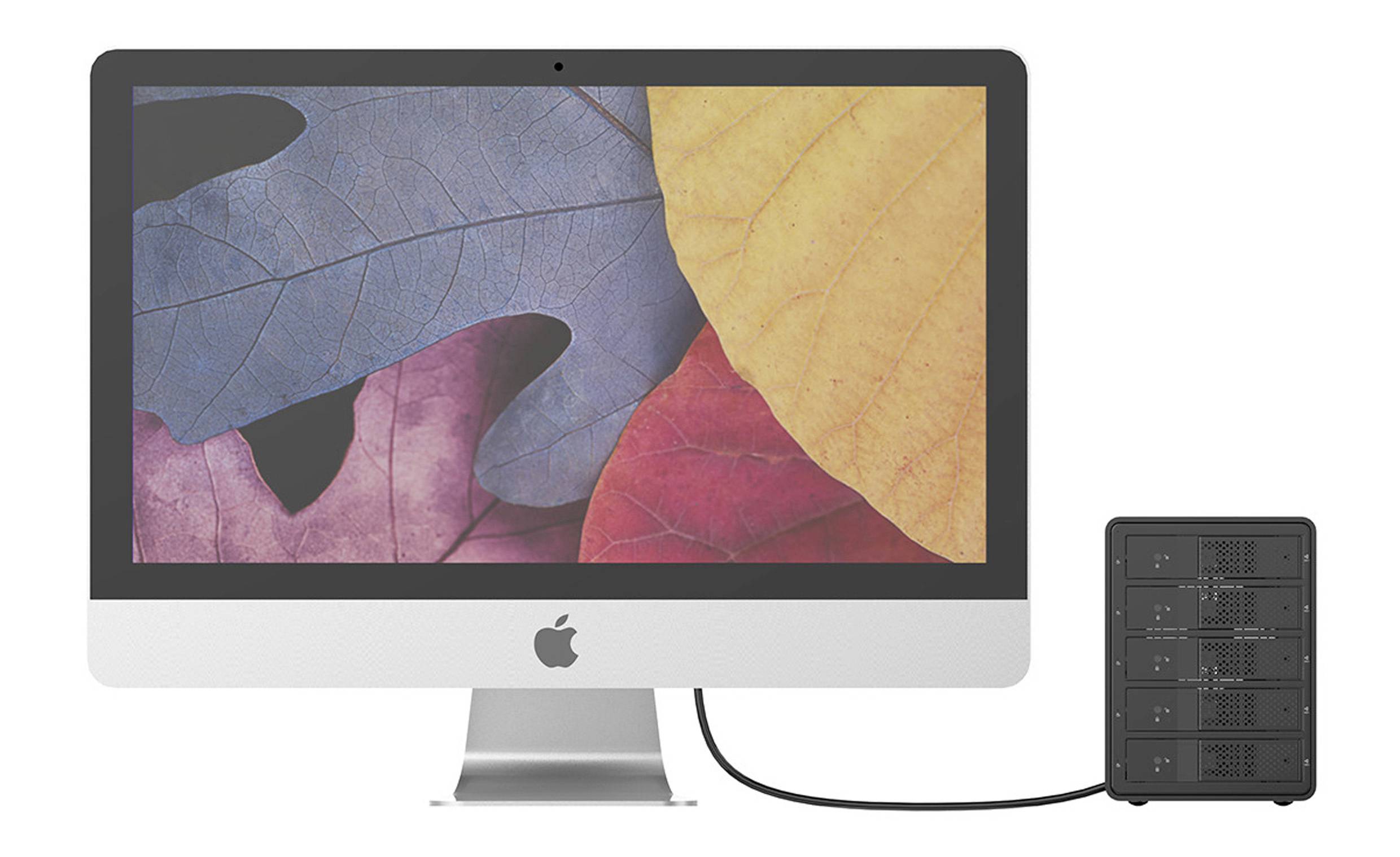 Un monitor del computer mostra un motivo a foglia colorato. Accanto c'è un piccolo dispositivo nero collegato allo schermo.