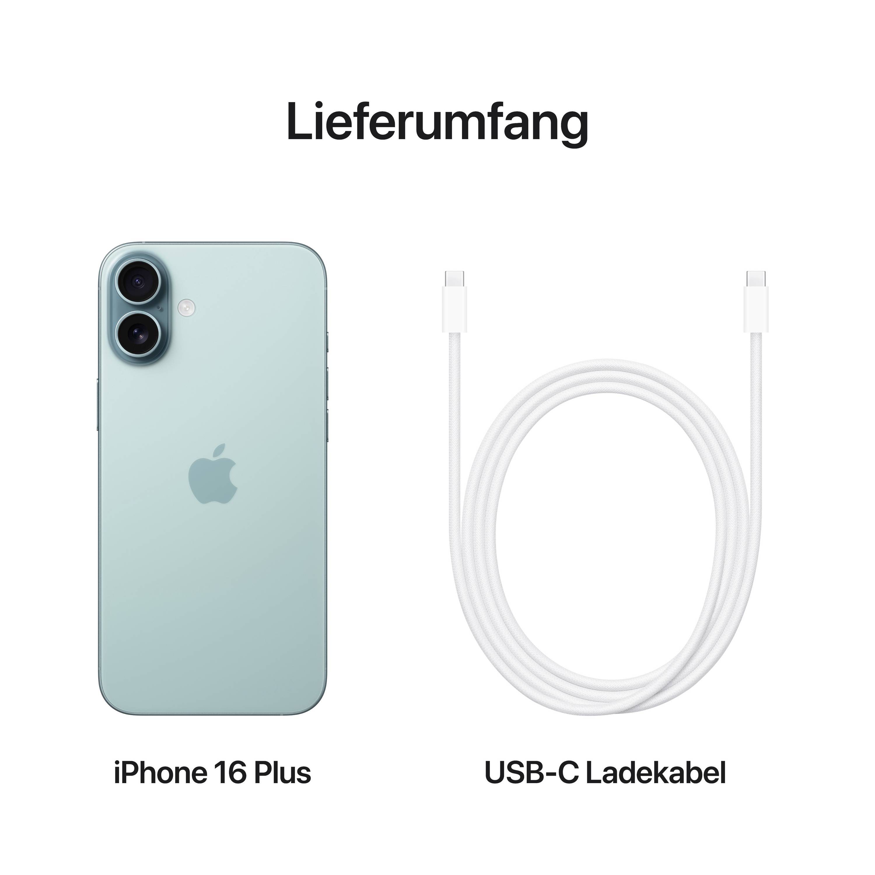 Contenuto della confezione: Un iPhone 16 Plus in blu e un cavo di ricarica USB-C.