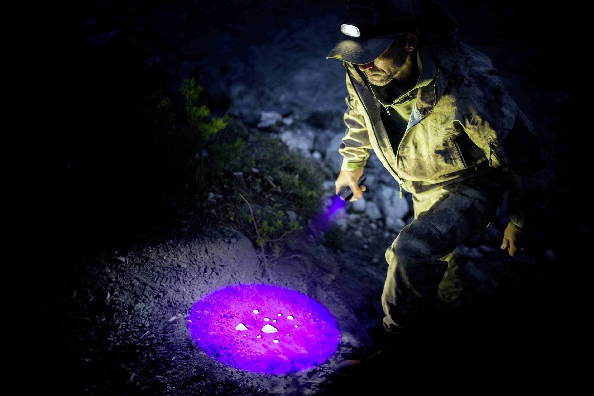 Una persona con una lampada frontale esamina il terreno di notte usando una torcia UV che illumina l'area di colore viola.