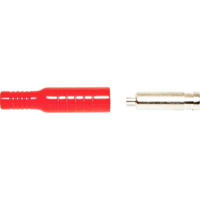 Spina RCA rossa accanto a un suo omologo argentato, che mostra le possibilità di connessione per dispositivi audio o video.