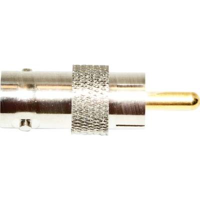 Un singolo connettore RCA argentato e dorato con superficie zigrinata, tipico per connessioni audio e video.