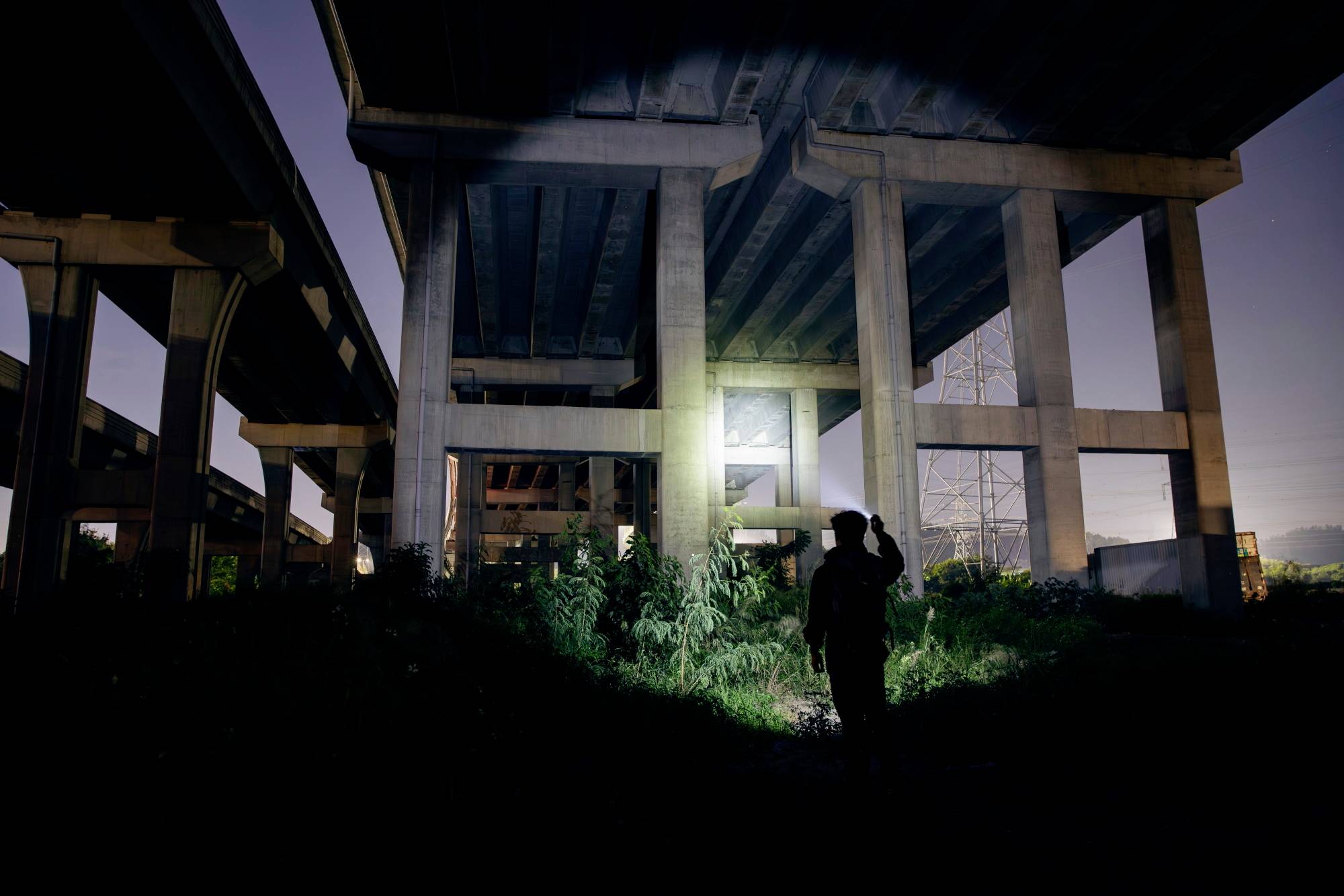 Persona con una torcia elettrica sotto un ponte autostradale di notte, circondato da piloni in cemento, illumina cespugli in primo piano.