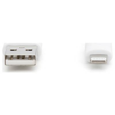 Vengono mostrati due connettori: a sinistra un connettore USB e a destra un connettore Lightning per dispositivi elettronici.