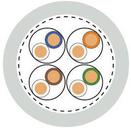 Disposizione simmetrica di quattro cerchi nel cerchio grigio. Ciascuno contiene un cerchio chiaro di dimensioni medie e un piccolo cerchio colorato (blu, arancione, marrone, verde).