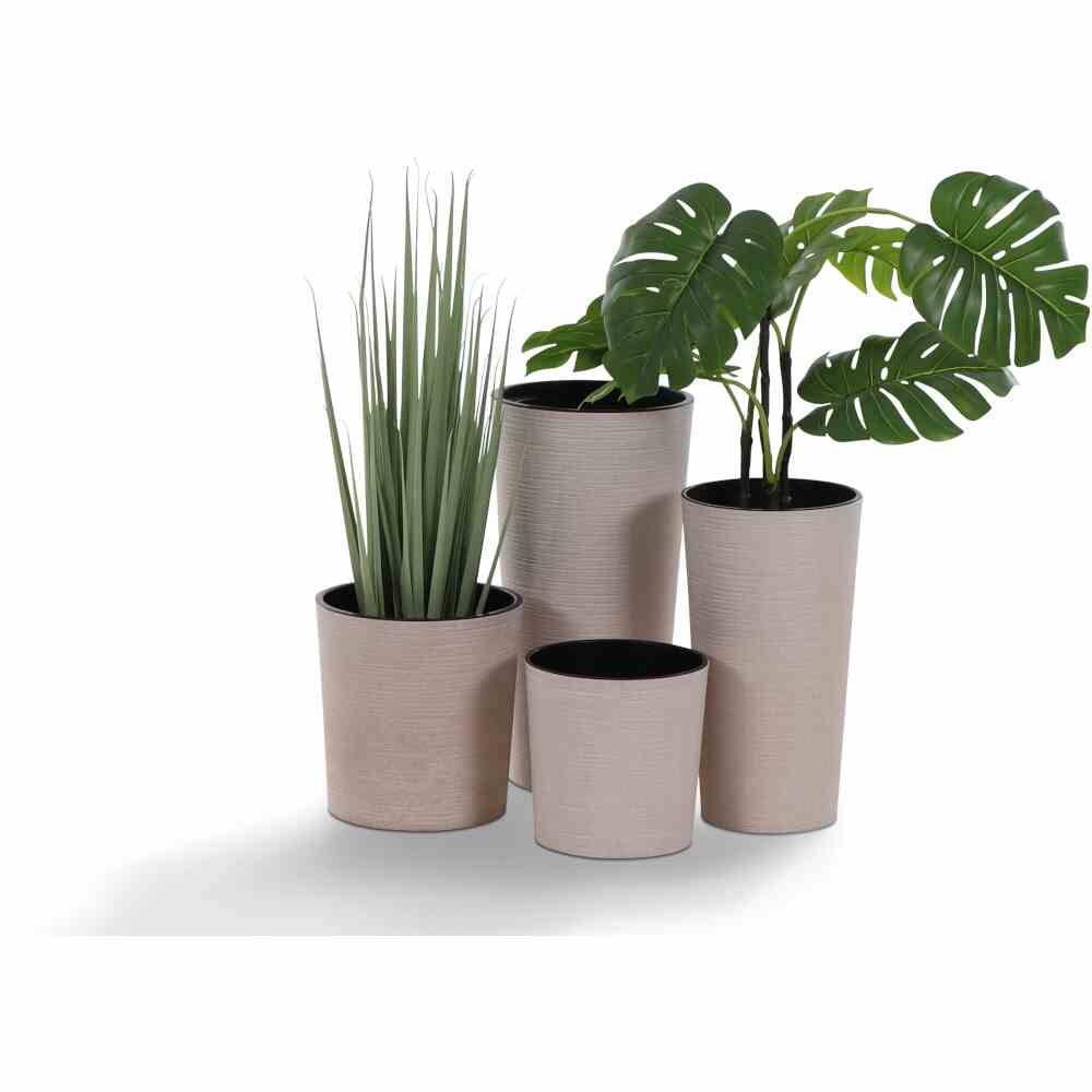 Quattro piante decorative in vasi beige. Due piante sono alte con foglie sottili, una ha foglie grandi e frastagliate.