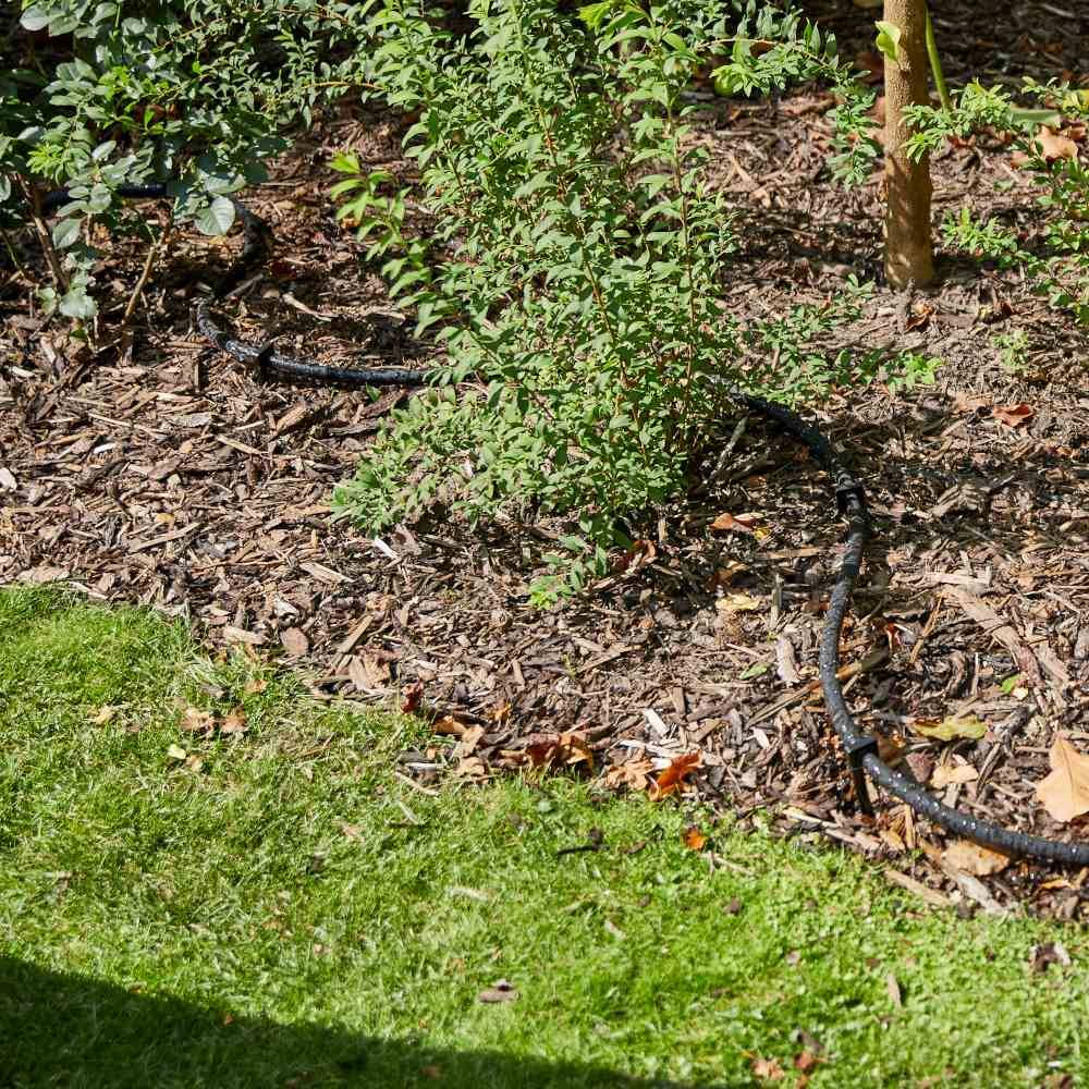 Un giardino con prato verde, pacciame e piante. Un tubo nero per l'irrigazione si avvolge intorno ai cespugli.
