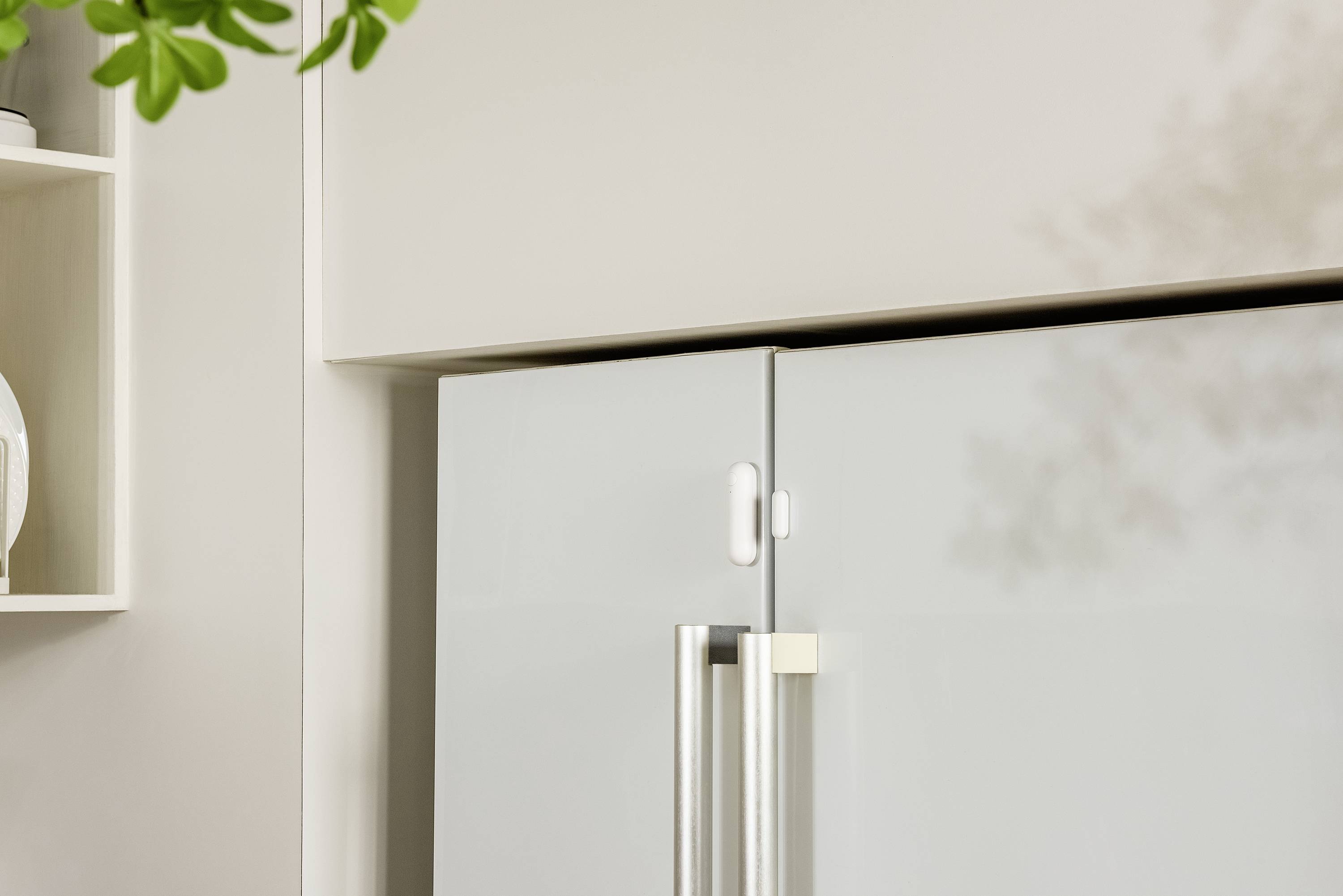 Un angolo di un frigorifero moderno grigio con maniglie metalliche, con scaffali accanto e un rametto verde di pianta visibile.