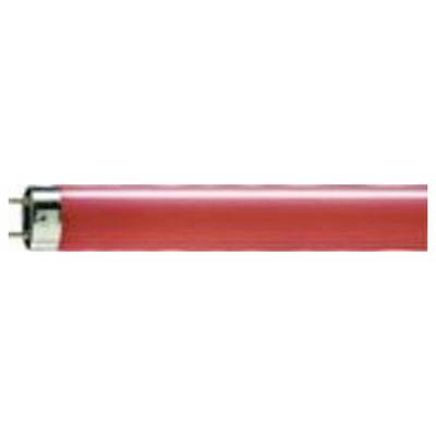 Tubo fluorescente rosso con cappucci metallici alle estremità.