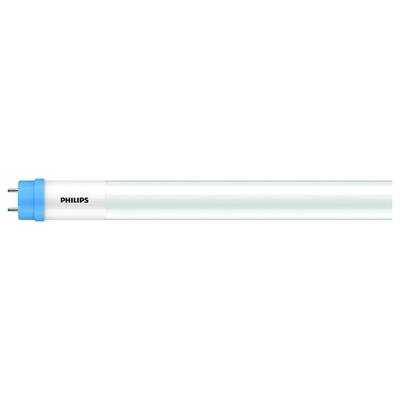 Un lungo tubo fluorescente LED cilindrico con cappuccio blu e la scritta 'Philips'.