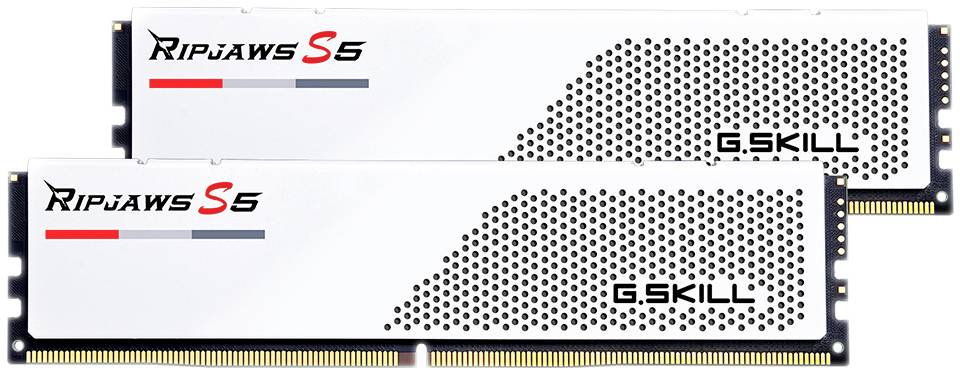 Due moduli RAM bianchi di G.SKILL, modello 'Ripjaws S5', con stampa in nero e rosso, sono posizionati parallelamente uno accanto all'altro.