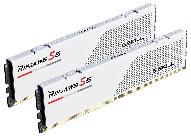 Due moduli di RAM G.Skill Ripjaws S5 in argento con un motivo a punti nero e il nome del marchio. Adatti per aggiornamenti del computer.