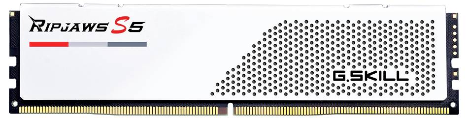 Un modulo RAM bianco con la scritta 'Ripjaws S5' e 'G.Skill'.