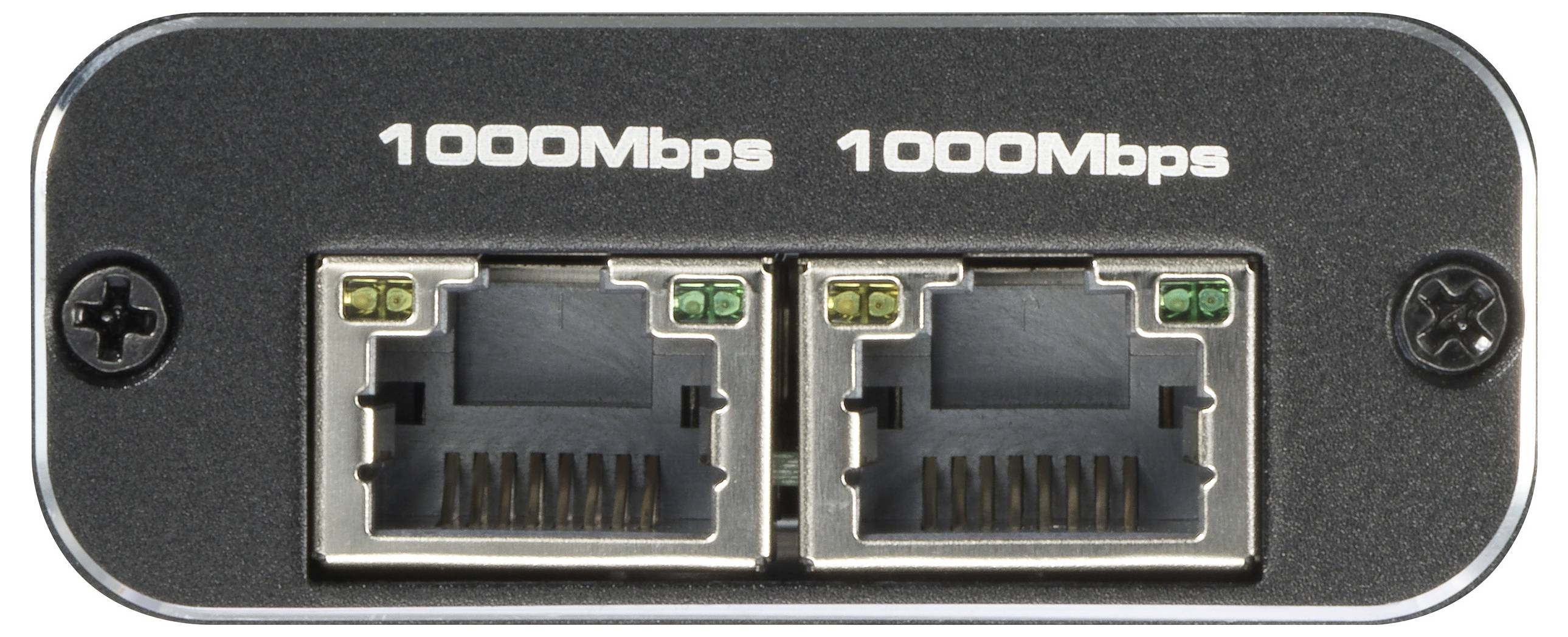 Due porte Ethernet con l'etichetta '1000Mbps' su un dispositivo nero, simboleggiano connessioni di rete veloci.