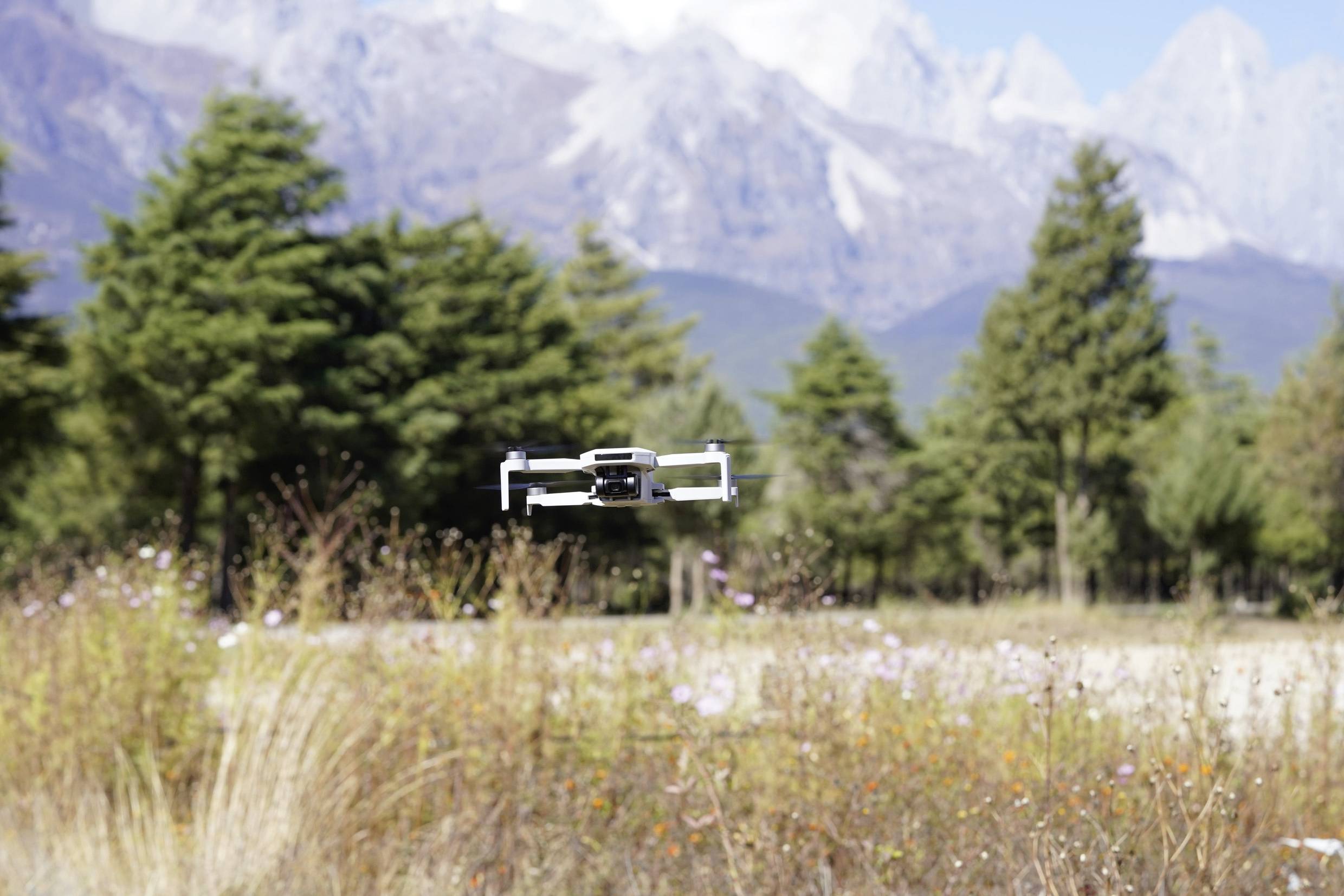 Un drone vola sopra un prato con erba selvatica e fiori, sullo sfondo si vedono alberi e montagne.