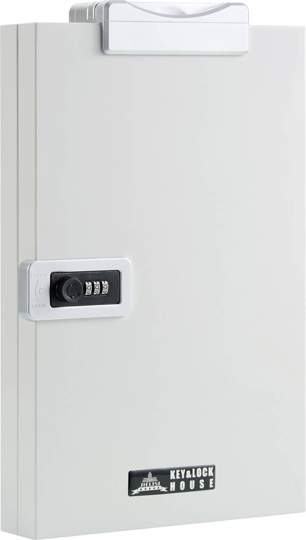Elevar Cassetta porta chiavi SP-32KB-001 SP-13504496 Numero di ganci 32 Bianco