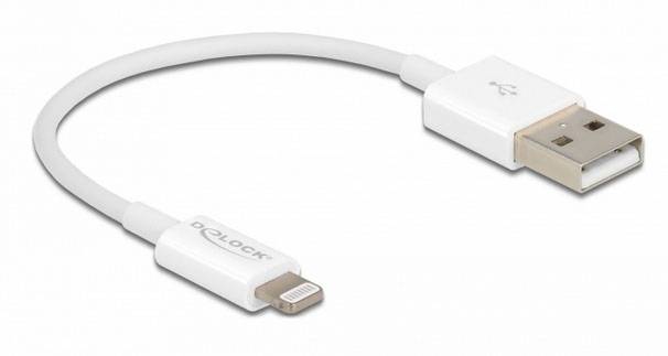 Un breve cavo bianco con spina USB su un lato e connettore Lightning sull'altro lato.