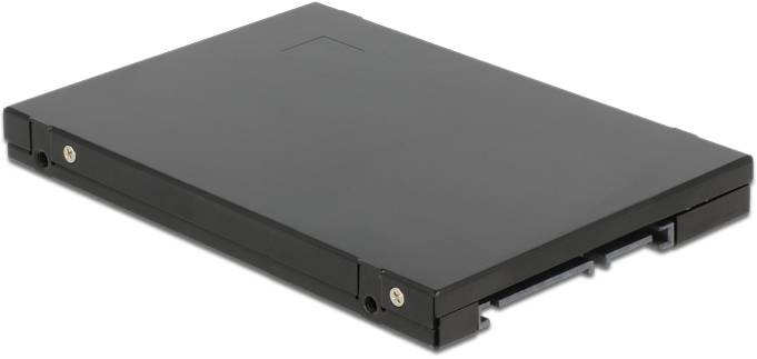 Delock 62594 Convertitore di interfaccia [1x SATA - 2x mSATA]-1