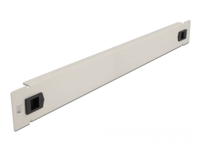 Delock 66630 19 pollici Pannello cieco per armadio rack 1 U Grigio